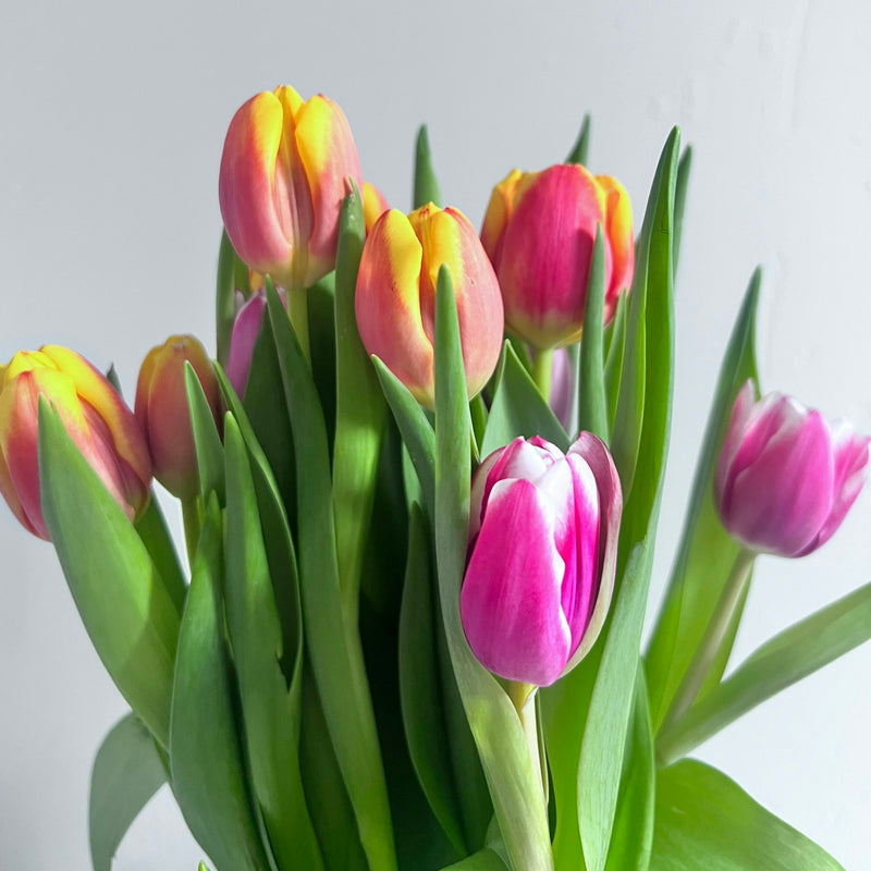 Easter & Spring